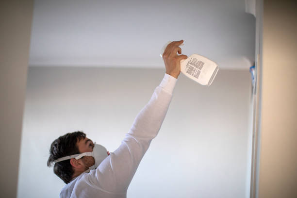Best DIY Mold Remediation Support Services in Perryville, MO