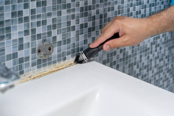 Best White Mold Remediation in Perryville, MO
