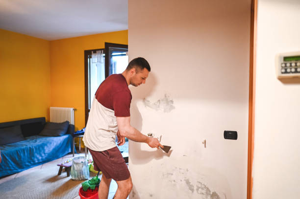 Best Mold Remediation for Schools in Perryville, MO